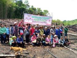 Pemkab Murung Raya Dorong Kemandirian Pangan dengan Gerakan Tanam Padi Gogo