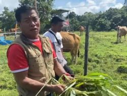 Ketua DPRD Mura Apresiasi Pengembangan Potensi  Sektor Peternakan di Desa Danau Usung