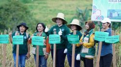 Sinergi Pemkab Mura dan IPB, Riset Pertanian di Desa Karali