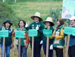 Sinergi Pemkab Mura dan IPB, Riset Pertanian di Desa Karali